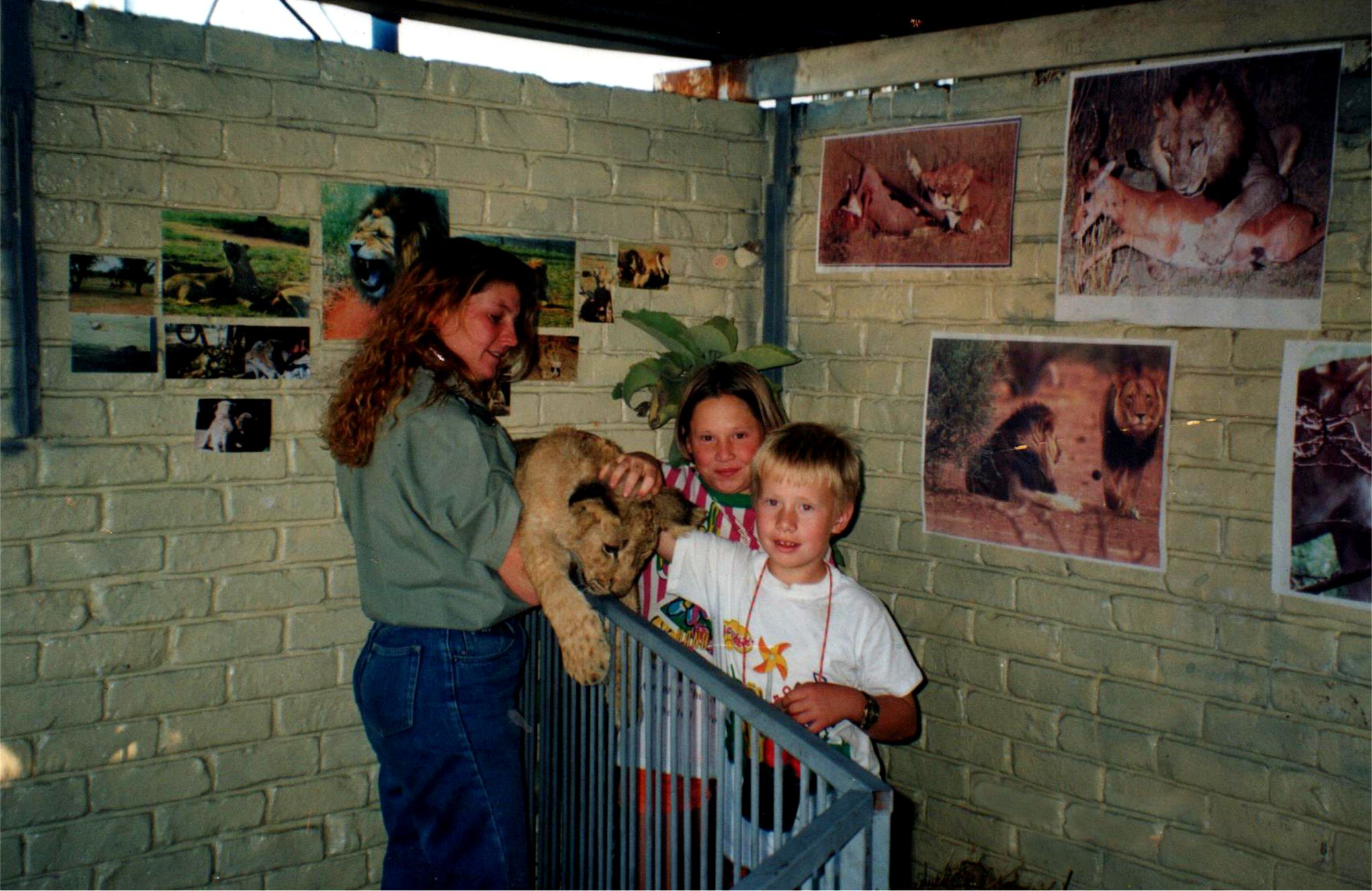 Pretoria Centurion Show